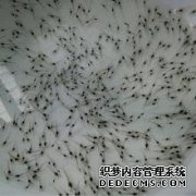 [field:title/]